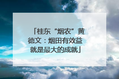 桂东“烟农”黄德文：烟田有效益就是最大的成就