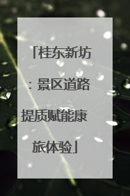 桂东新坊：景区道路提质赋能康旅体验
