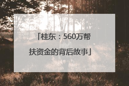 桂东：560万帮扶资金的背后故事