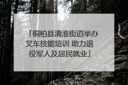桐柏县清淮街道举办叉车技能培训 助力退役军人及居民就业