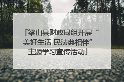 梁山县财政局组开展“美好生活 民法典相伴”主题学习宣传活动