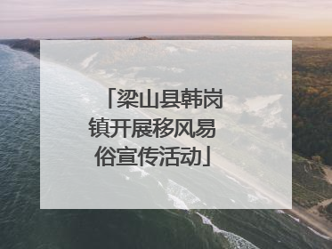 梁山县韩岗镇开展移风易俗宣传活动