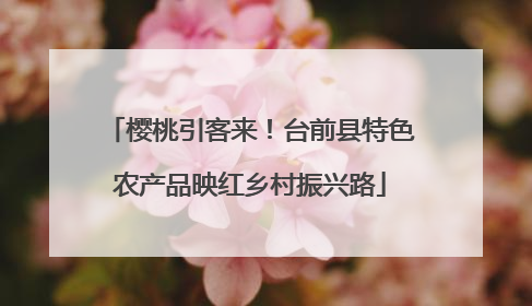 樱桃引客来！台前县特色农产品映红乡村振兴路