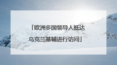 欧洲多国领导人抵达乌克兰基辅进行访问