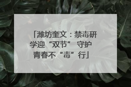 潍坊奎文：禁毒研学迎“双节” 守护青春不“毒”行