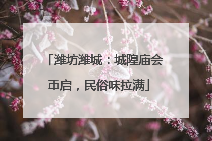 潍坊潍城：城隍庙会重启，民俗味拉满