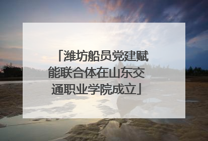 潍坊船员党建赋能联合体在山东交通职业学院成立