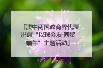 澳中两国政商界代表出席“以球会友·同贺端午”主题活动