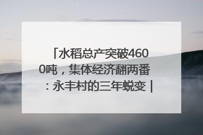 水稻总产突破4600吨，集体经济翻两番：永丰村的三年蜕变｜您牵挂的四川