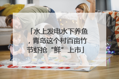 水上发电水下养鱼，青岛这个村百亩竹节虾抢“鲜”上市