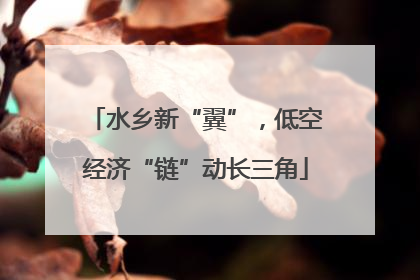 水乡新“翼”，低空经济“链”动长三角