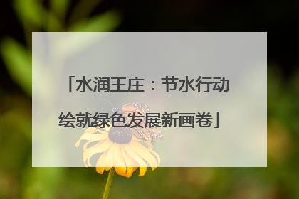 水润王庄：节水行动绘就绿色发展新画卷
