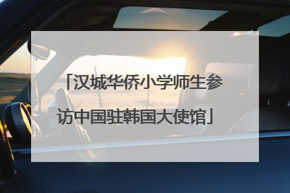 汉城华侨小学师生参访中国驻韩国大使馆