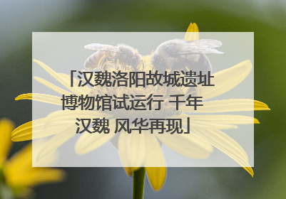 汉魏洛阳故城遗址博物馆试运行 千年汉魏 风华再现