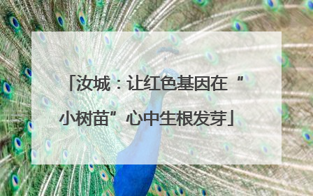 汝城：让红色基因在“小树苗”心中生根发芽