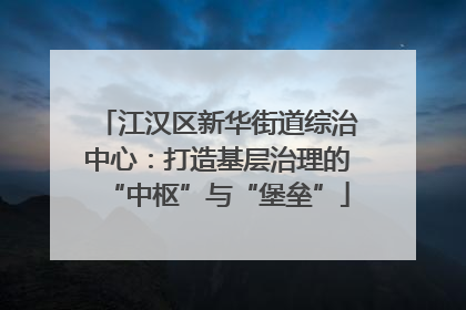 江汉区新华街道综治中心：打造基层治理的“中枢”与“堡垒”