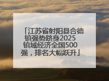 江苏省射阳县合德镇强势跻身2025镇域经济全国500强，排名大幅跃升