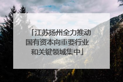 江苏扬州全力推动国有资本向重要行业和关键领域集中