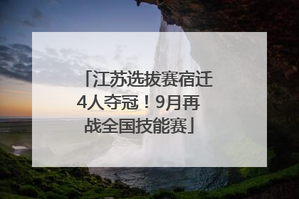 江苏选拔赛宿迁4人夺冠！9月再战全国技能赛
