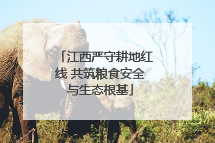 江西严守耕地红线 共筑粮食安全与生态根基