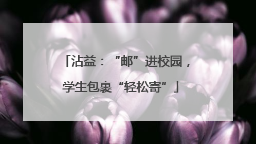 沾益：“邮”进校园，学生包裹“轻松寄”