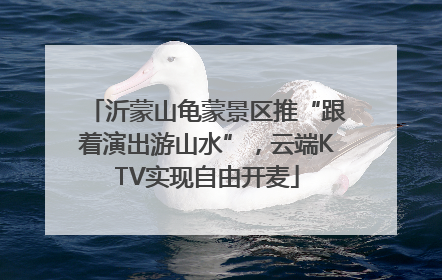 沂蒙山龟蒙景区推“跟着演出游山水”，云端KTV实现自由开麦
