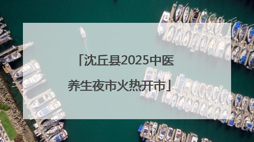 沈丘县2025中医养生夜市火热开市