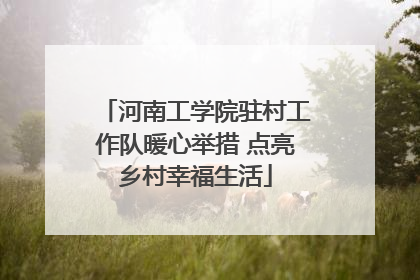 河南工学院驻村工作队暖心举措 点亮乡村幸福生活
