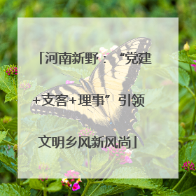 河南新野：“党建+支客+理事”引领文明乡风新风尚