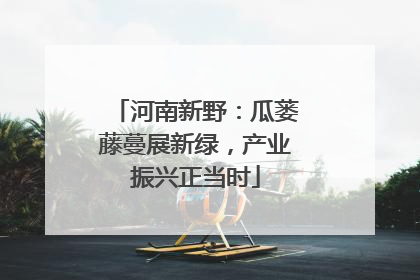 河南新野：瓜蒌藤蔓展新绿，产业振兴正当时