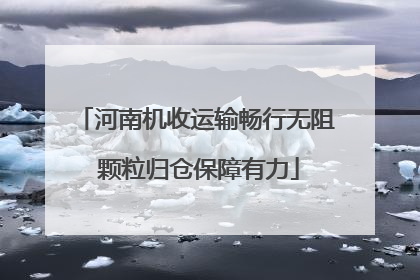 河南机收运输畅行无阻 颗粒归仓保障有力