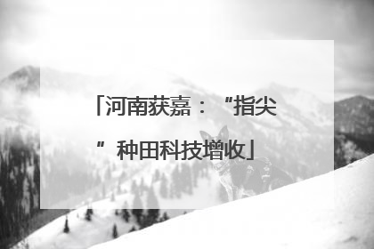 河南获嘉：“指尖”种田科技增收