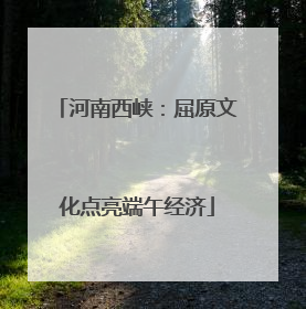 河南西峡：屈原文化点亮端午经济