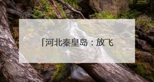 河北秦皇岛：放飞野生鸟类回归自然