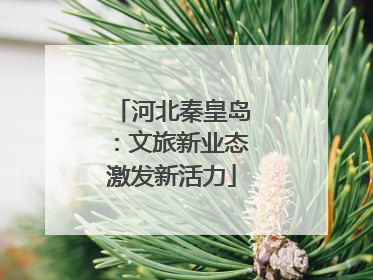 河北秦皇岛：文旅新业态激发新活力