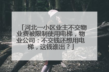 河北一小区业主不交物业费被限制使用电梯，物业公司：不交钱还想用电梯，这钱谁出？
