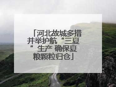 河北故城多措并举护航“三夏”生产 确保夏粮颗粒归仓