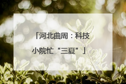 河北曲周：科技小院忙“三夏”