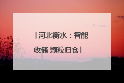 河北衡水：智能收储 颗粒归仓