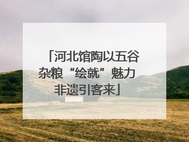河北馆陶以五谷杂粮“绘就”魅力非遗引客来