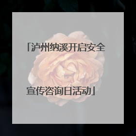 泸州纳溪开启安全宣传咨询日活动
