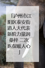 泸州市江阳区泰安街道人大代表新阶力量润桑梓 二次医保暖人心