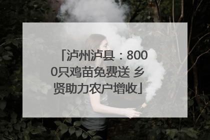 泸州泸县：8000只鸡苗免费送 乡贤助力农户增收