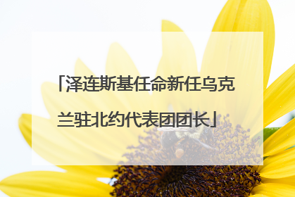 泽连斯基任命新任乌克兰驻北约代表团团长