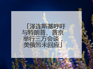 泽连斯基呼吁与特朗普、普京举行三方会谈，美俄暂未回应