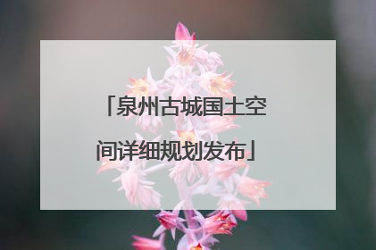 泉州古城国土空间详细规划发布