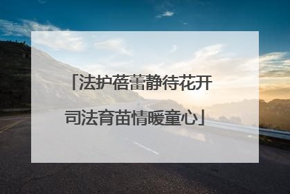 法护蓓蕾静待花开 司法育苗情暖童心