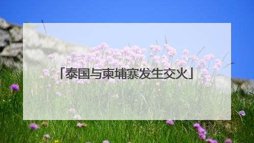 泰国与柬埔寨发生交火