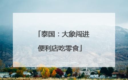 泰国：大象闯进便利店吃零食