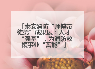 泰安消防“师傅带徒弟”成果展：人才“强基”，为消防救援事业“蓄能”
